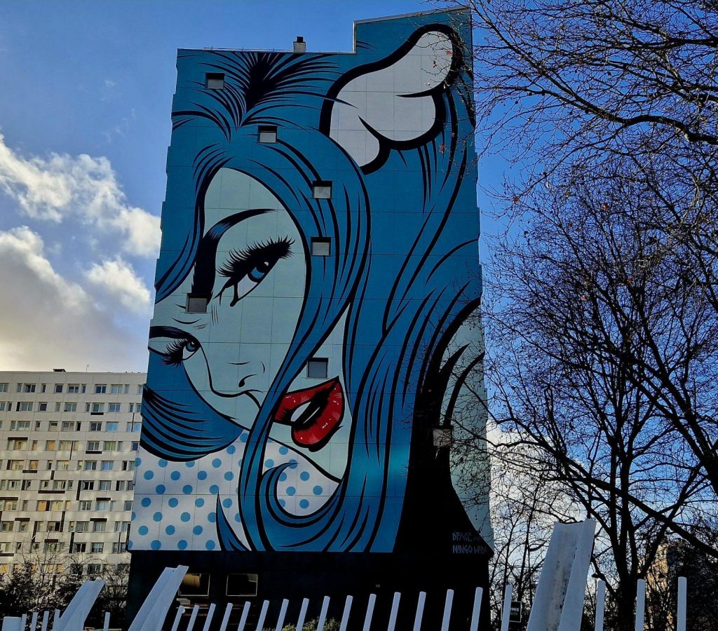 graffiti-paris-13eme-Turncoat-Dface